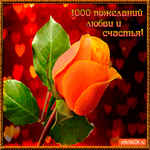 1000 пожеланий любви и счастья