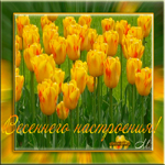 1 марта праздник весны