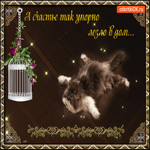 А счастье так упорно лезло в дом