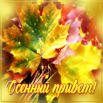 Анимационная открытка с листьями Осенний привет!