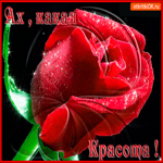 Ах, какая красота