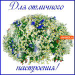 Букет ромашек для отличного настроения