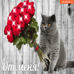 Букет роз от меня