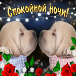 Чтобы эта ночь подарила тебе чудесный сон