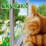 Чудесная открытка с рыжим котом Скучаю