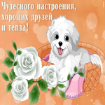 Чудесная открытка Хороших друзей и тепла!