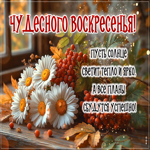 Чудесного воскресенья! Пусть солнце светит тепло и ярко
