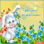 Цветок тебе для настроения