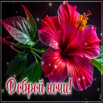 Цветущая, благоухающая открытка Доброй ночи