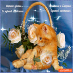 Дарите цветы любимым и близким