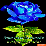 Дарю розу любя
