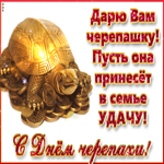 Дарю вам черепашку, пусть она принесет в семье удачу