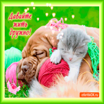 Давайте жить дружно