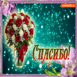 День спасибо