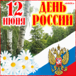 День России официальные поздравления