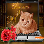Смешная картинка другу
