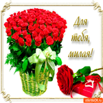 Для тебя милая подружка