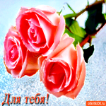 Для тебя розовые розы