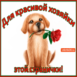 Для красивой хозяйки этой странички