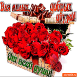 Для моих милых и добрых друзей