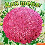 Для тебя этот огромный букет от меня