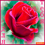 Для тебя с нежностью скромная роза