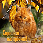 Добрая открытка Хорошего настроения