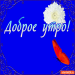 Доброе утро - Эти цветы для тебя