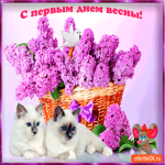 Друзьям с первым днём весны