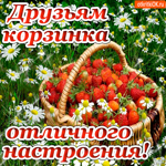 Друзьям корзинка. Отличного настроения