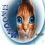 Эффектная открытка с рыжим котиком Прости меня