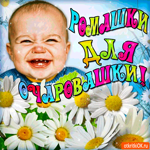 Эти ромашки для очаровашки