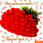 Эти розы для тебя, Просто так