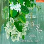 Хочется весны