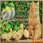 Я очень дорожу нашей дружбой