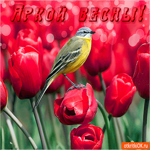 Яркой весны хочу пожелать