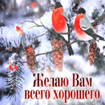 Идеальная открытка Желаю вам всего хорошего