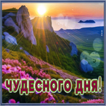 Игривая и веселая гиф-открытка с природой Чудесного дня