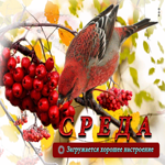 Искренняя анимационная открытка Среда! Загружается хорошее настроение