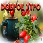 Изумительная открытка с шиповником Доброе утро