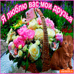 Я люблю моих друзей