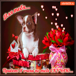 Я очень по тебе скучаю