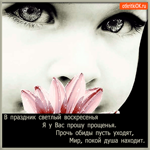 Я у вас прошу прощенья