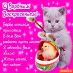 Я здоровья вам желаю - С Вербным Воскресеньем
