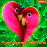 Желаю нежной и взаимной любви