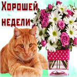 Картинка хорошей недели с котиком