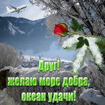 Картинка море добра другу