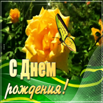 Картинка с днем рождения женщине желтые розы