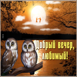 Хорошая открытка добрый вечер любимому