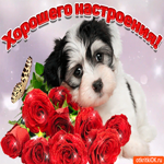 Хорошего настроения тебе букетик